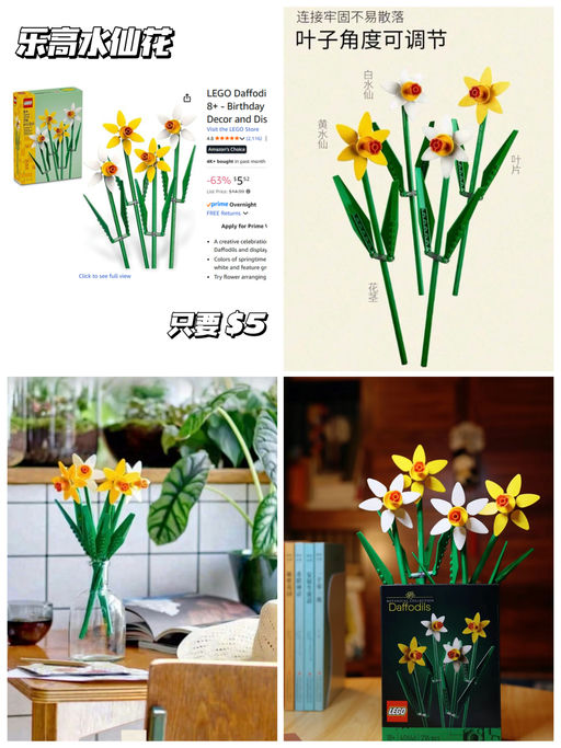 【史低】乐高水仙，只要 $5