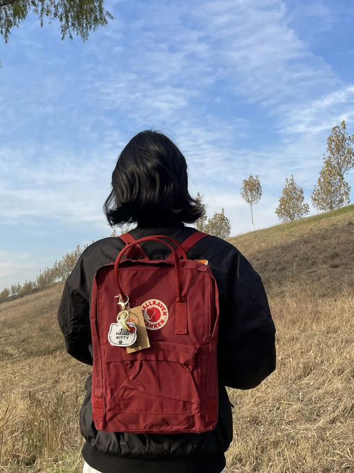 【33折】北极狐背包，$50