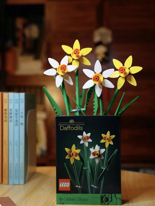 【史低】乐高水仙，只要 $5