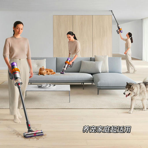 【刷新史低】66折，激光吸尘