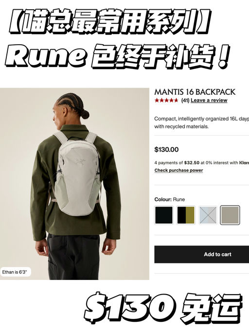 【补货简报】喵总同款