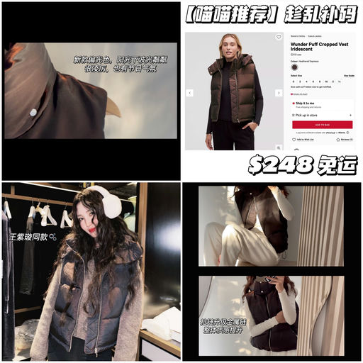 【喵喵新推荐】趁乱补齐码数