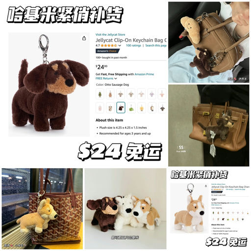 【哈基米补货啦】有腊肠/柯基