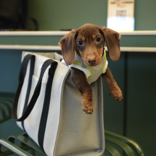 【Lulu 你别太爱马仕】小号上新