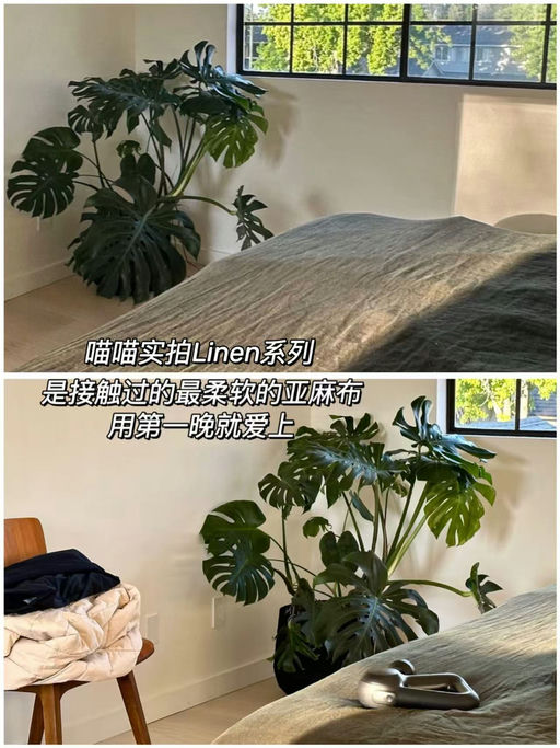 【全场8折起】喵总最爱床品