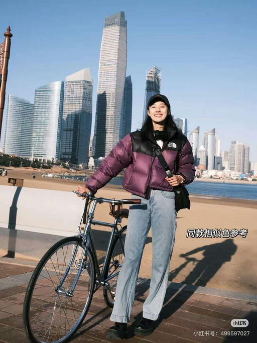 【爽快5折】TNF 经典Nuptse短款羽绒服