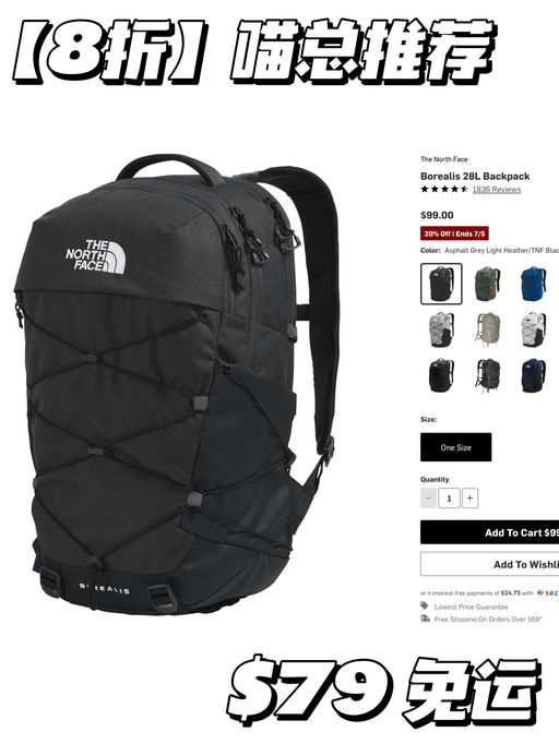 【8折回归】喵总城市出行同款