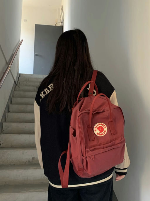 【33折】北极狐背包，$50