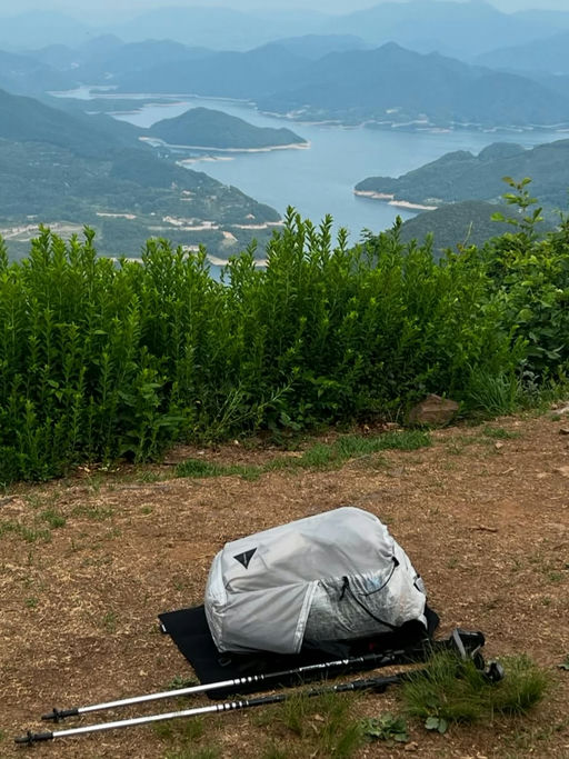 【OMG，爽快5折！】全网大断货