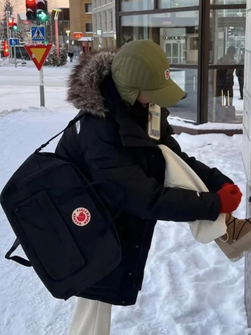 【会员8折】【喵总免托运神器】