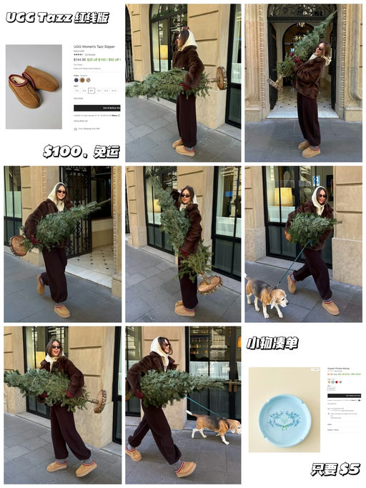 ❄️【Tazz 史低价】【只要 $100，免运】