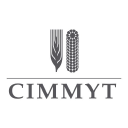 CIMMYT (International Maize and Wheat Improvement Center) logo