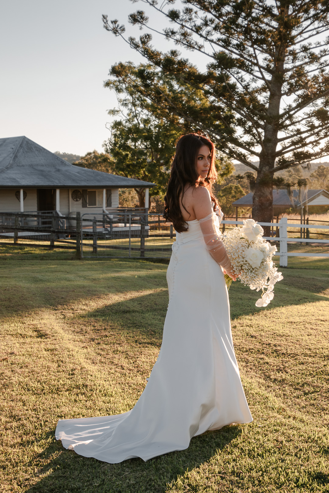 Cypresses Creative Photography