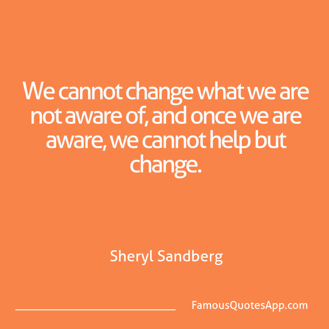 Wisdom Sheryl Sandberg We cannot change wha