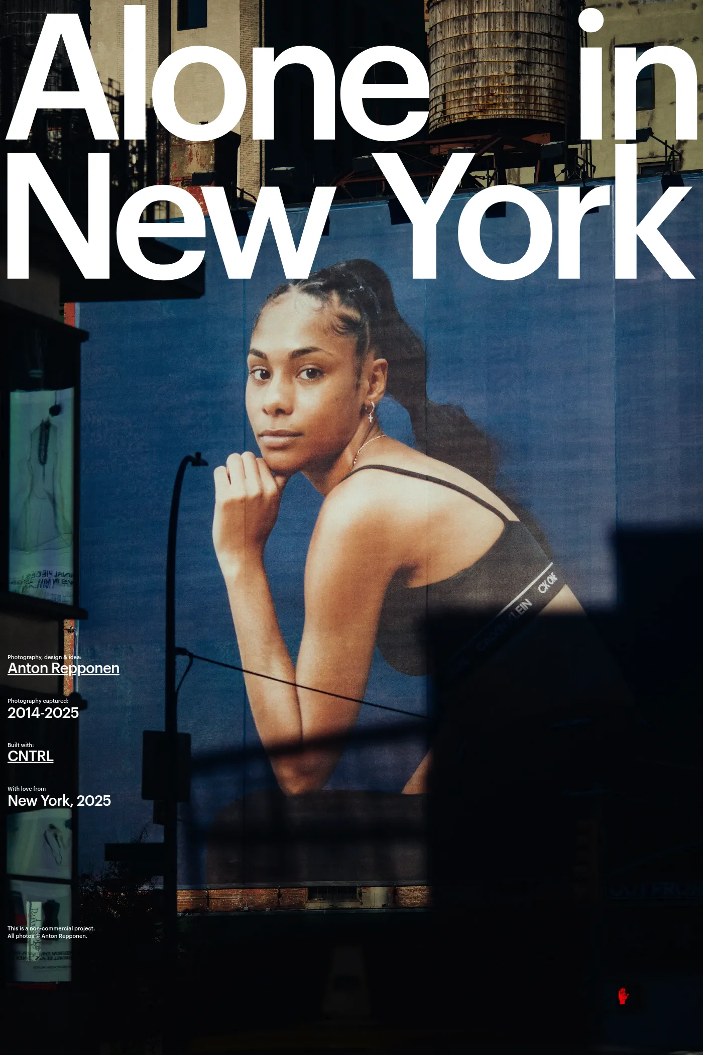 Alone in New York website screenshot