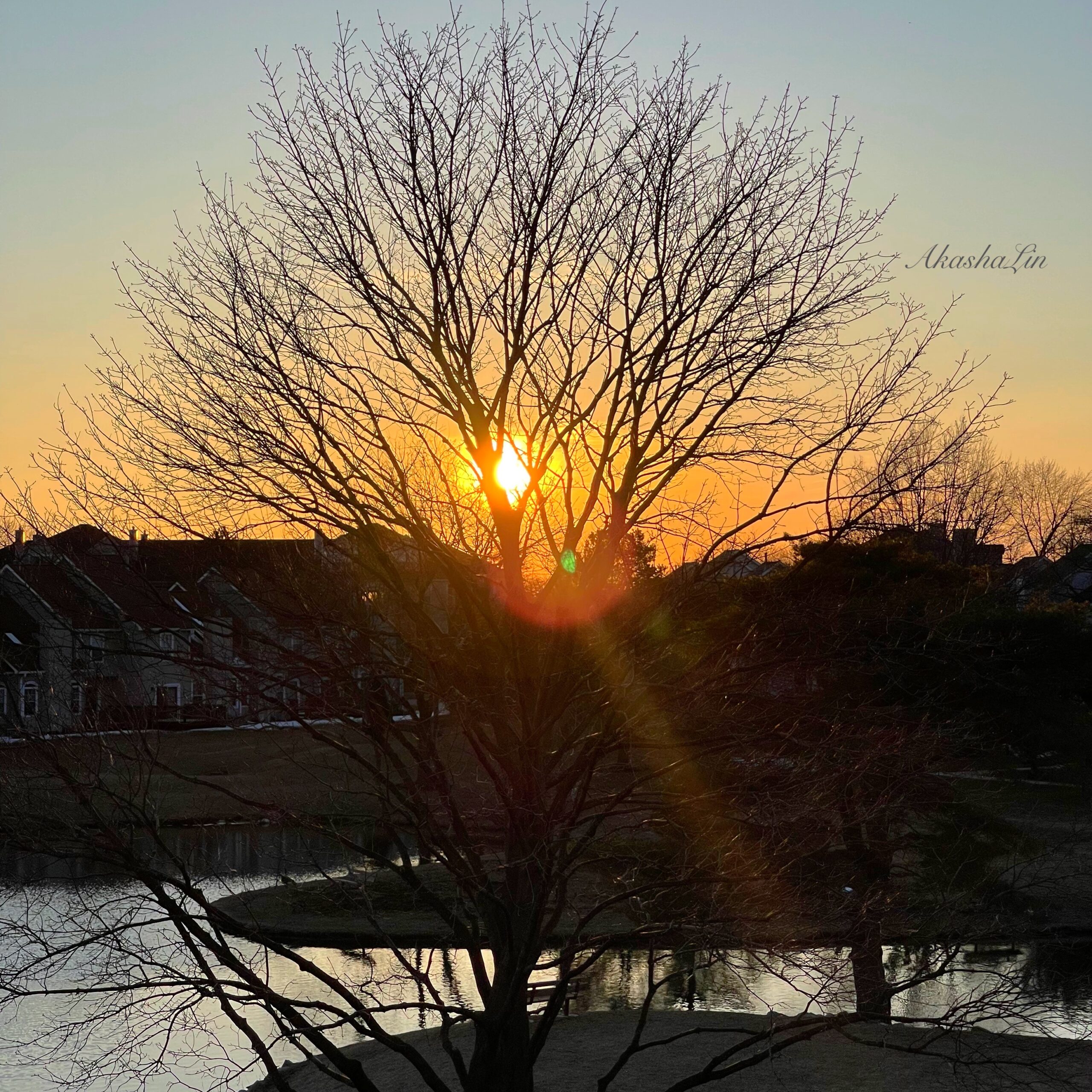 FE: Books on women who changed the world