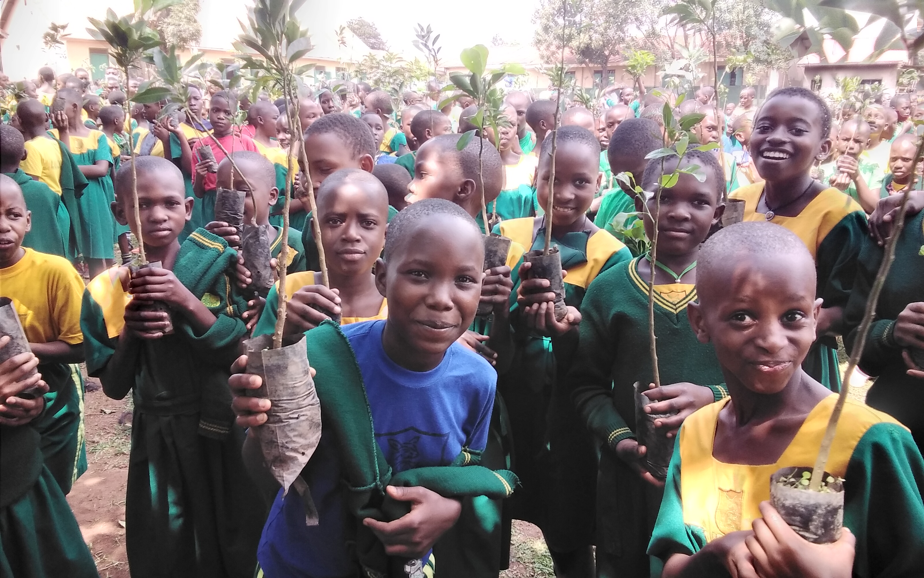 The Female' Effect for a Green and Health World