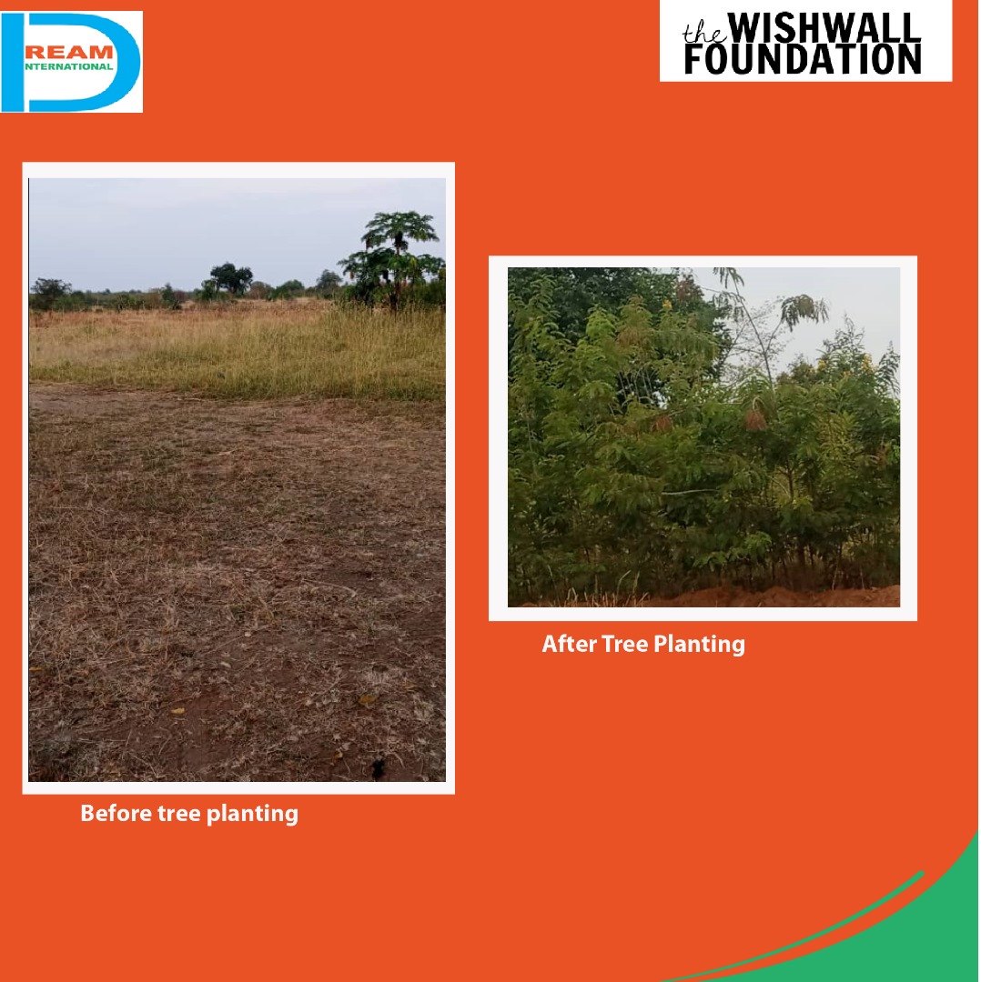 planting for biodiversity of landscapes in Rwenzori mountains