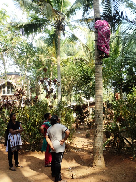 Supporting Rural Women Artisans for their Livelihoods