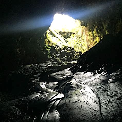 Future Entrepreneurs: Determination