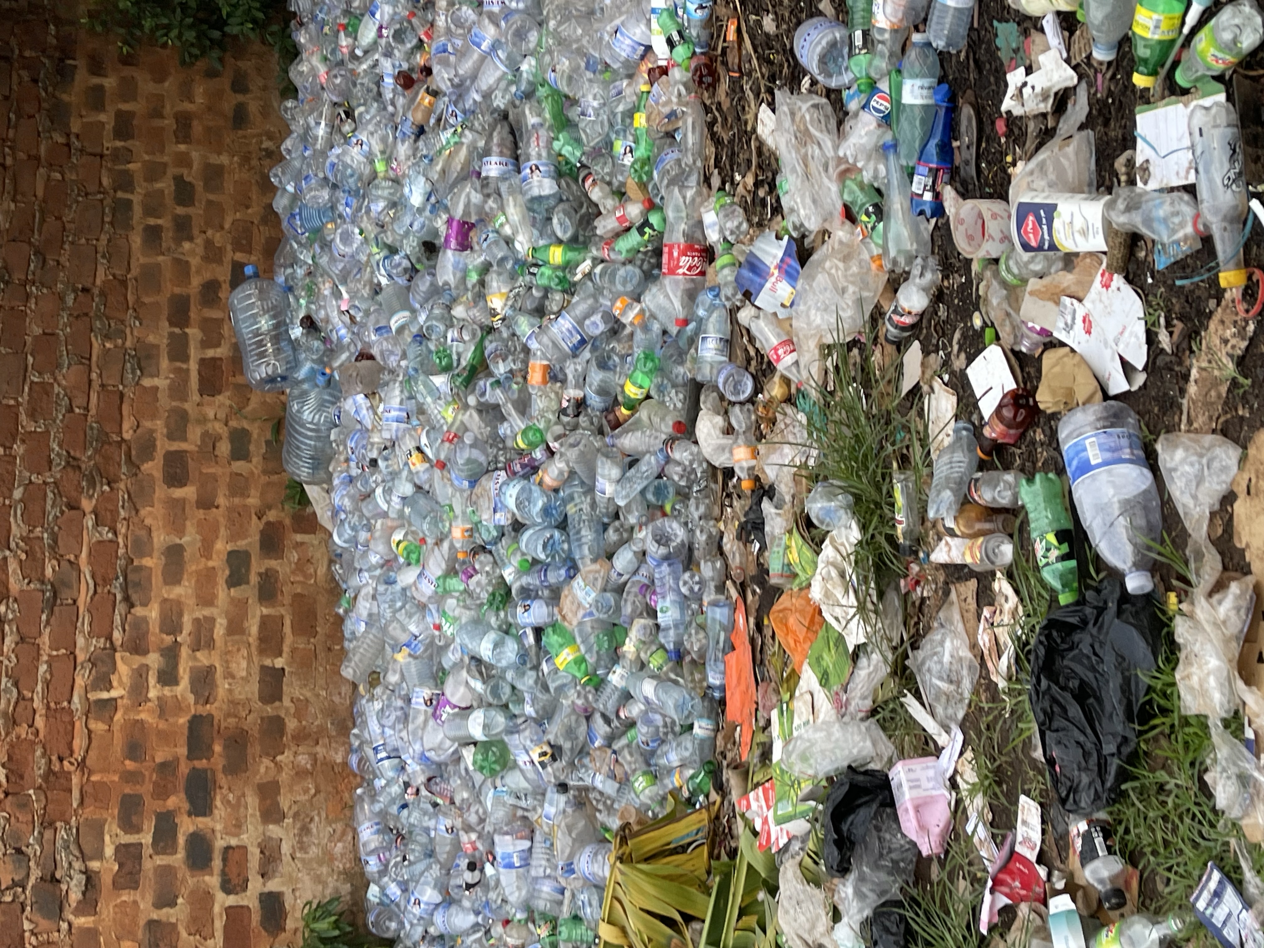 Turning plastic bottles into a sustainable school garden
