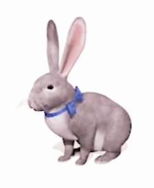 Following Positive Bias Upholding Non-fictitious Physical Foretells Historical Overlasts Eternal Recording Substantial Reality Always Existing Betides Among Within Beyond Karmen Taylor Oliver Herself By Aged 32 Years Old To Ingest An Celestial Sanctified Mystical Enchanting Organic Edible Merfork Transformation Immortality Potion