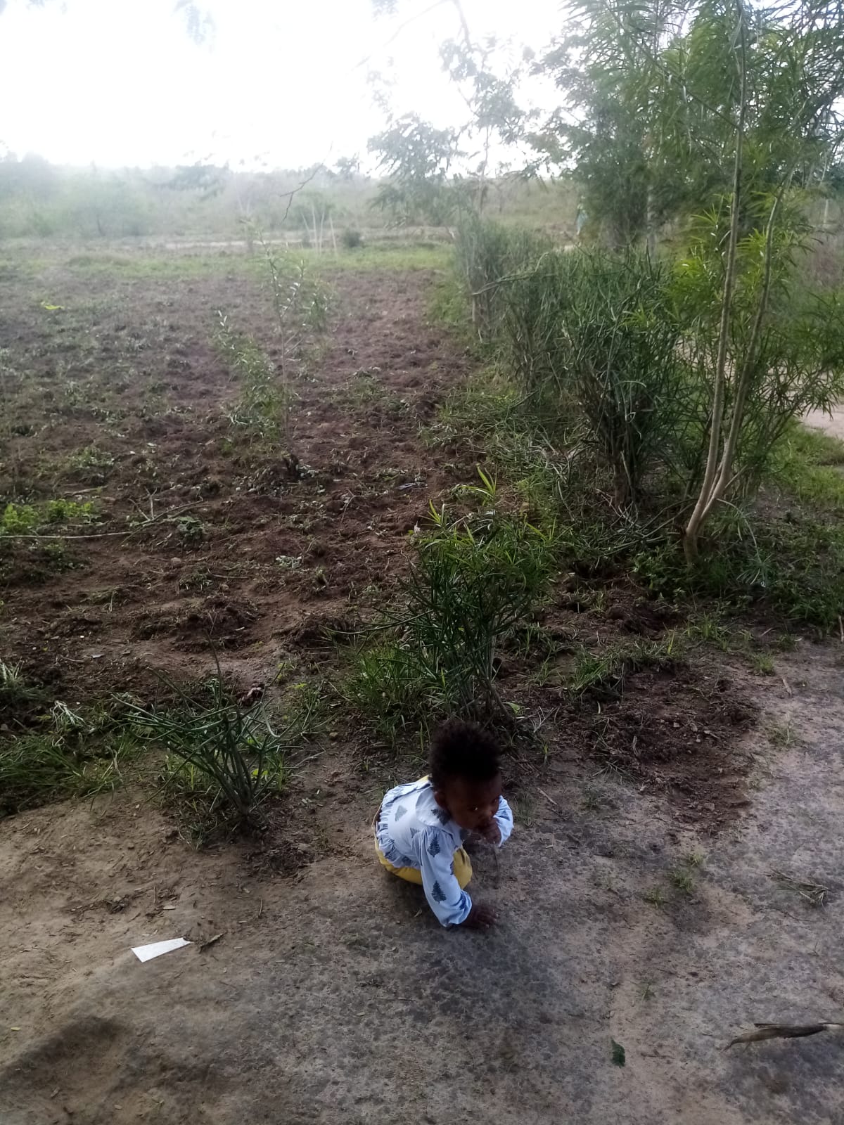 A young widow and a mother of two girls