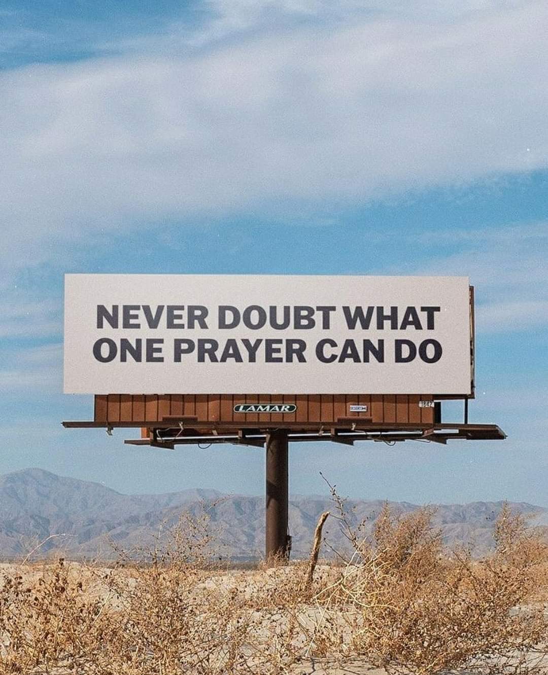 Wish really do come true