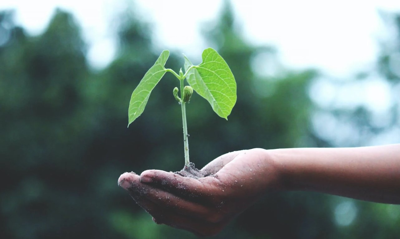 Charting a Winning Course: Blueprint for Business Growth and Innovation