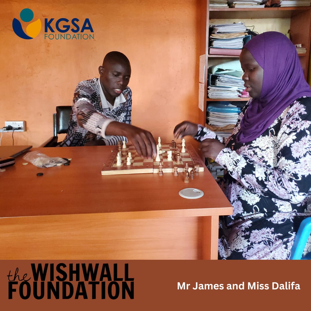 Friendly game of chess