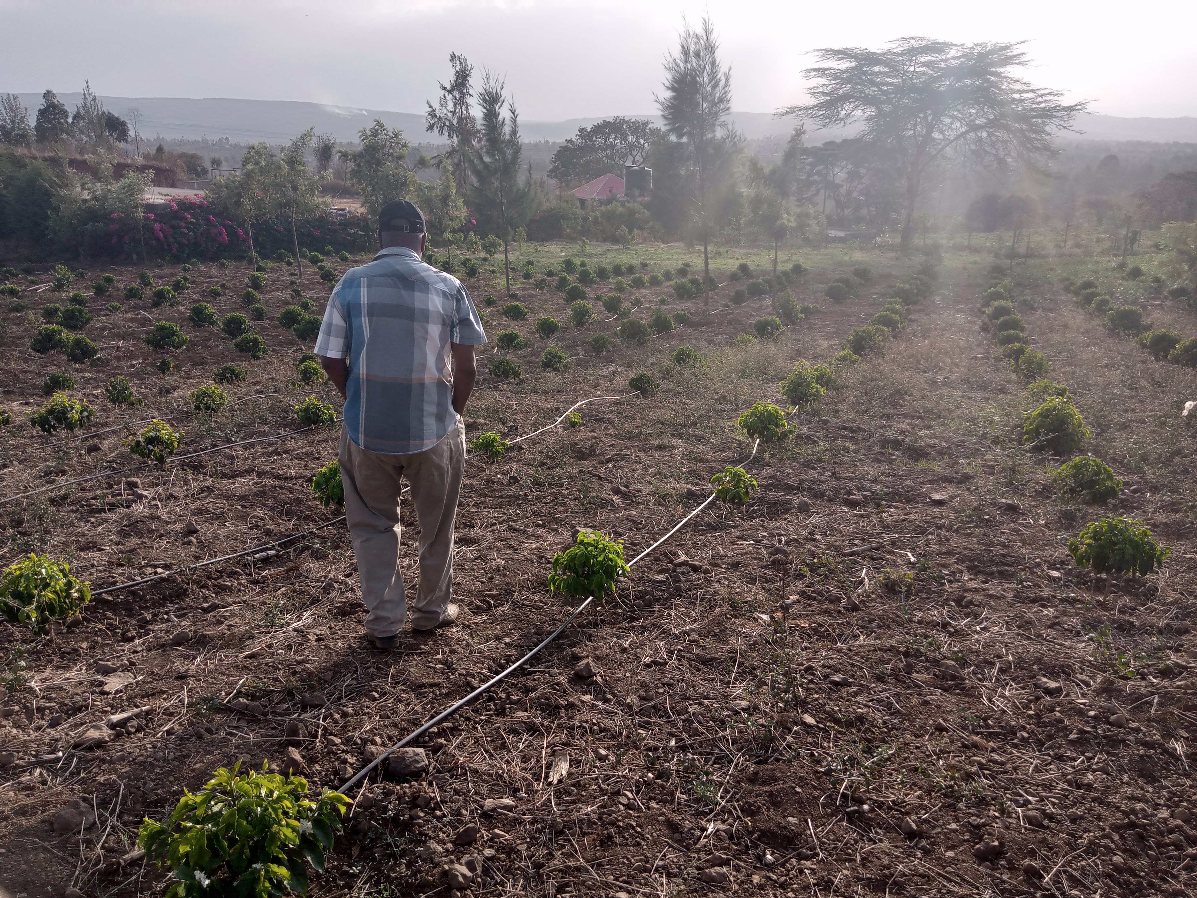 Proposal to Boost Farmers with Fertilizers, Water Harvesting Tanks, and Boreholes for Irrigation