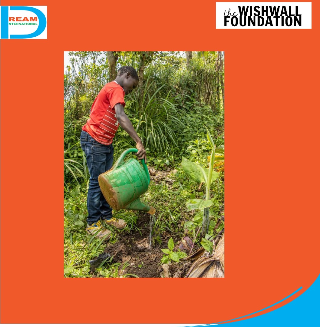 planting for biodiversity of landscapes in Rwenzori mountains