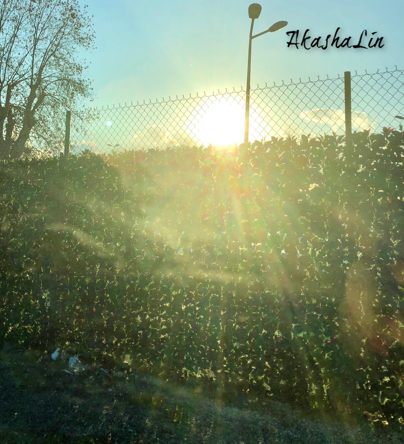 Future Entrepreneurs: Shining Gratitude