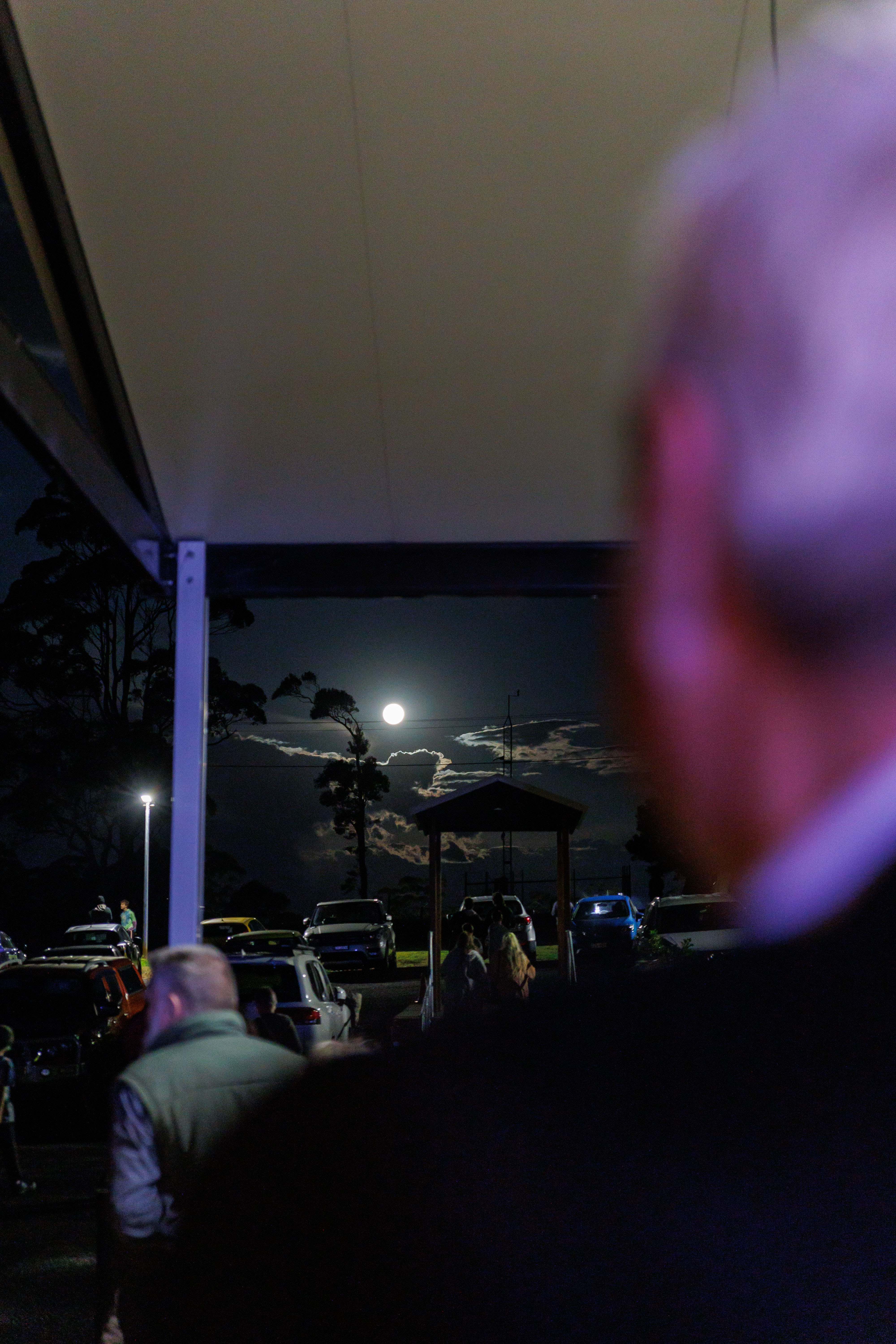 Tom Sharp for Mayor of Scenic Rim in 2024