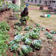 SUPPORT FOR THE NYONGA WOMENS SHELTER