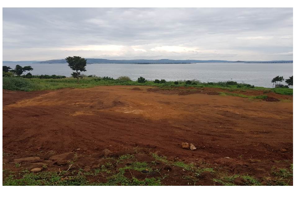 Restore and Conserve Lake Victoria Shores and Wetlands in Mayuge District in Eastern Uganda