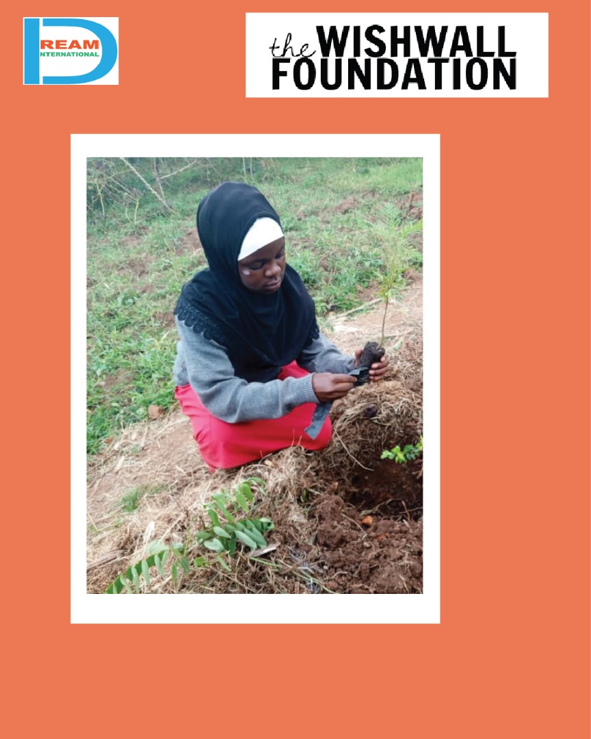 planting for biodiversity of landscapes in Rwenzori mountains