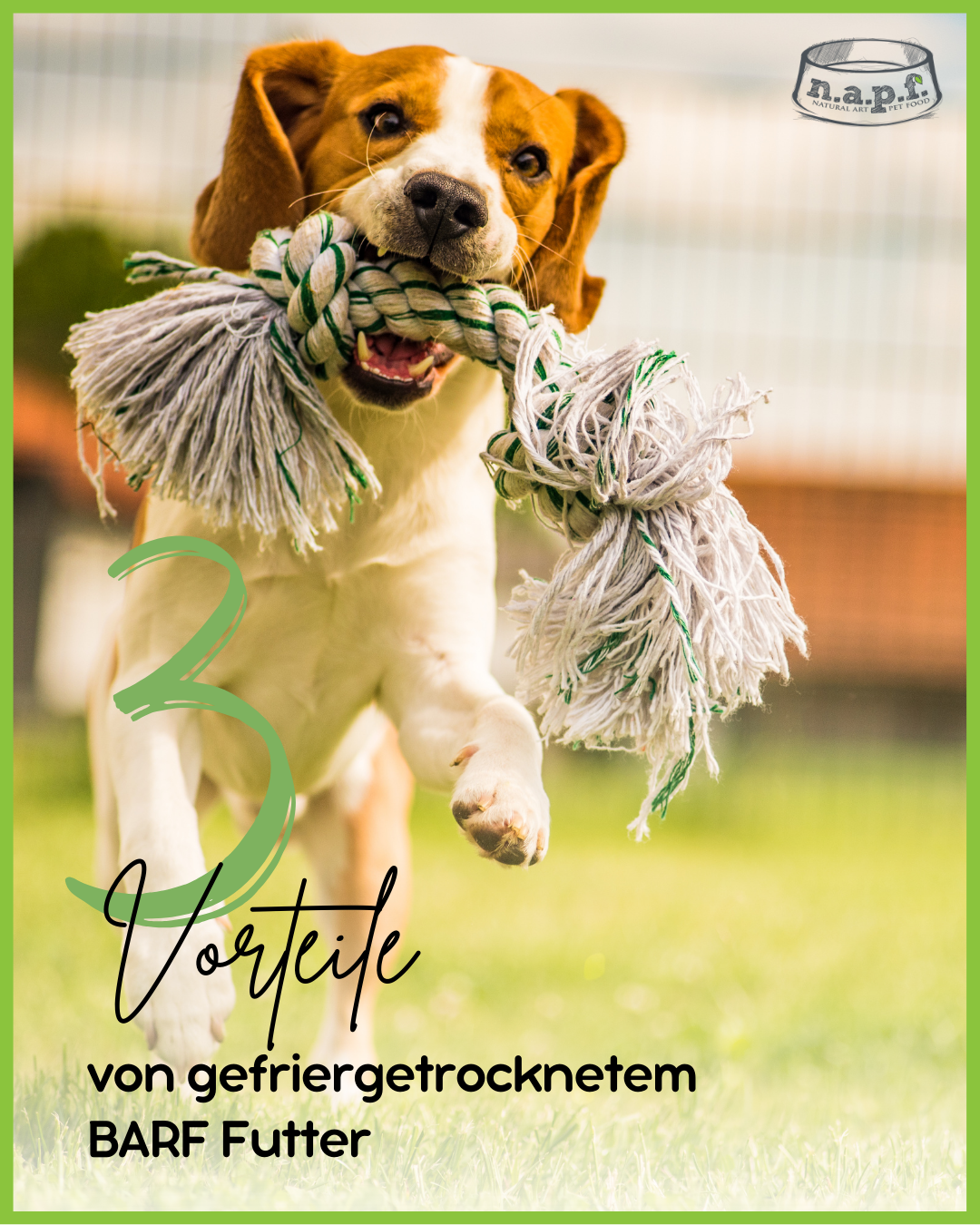 Napf Tierfutter GmbH