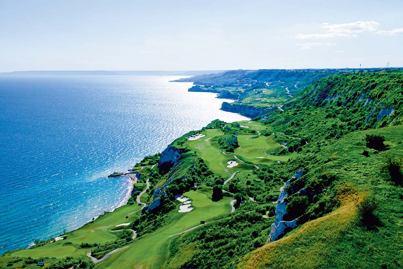 Ein Golfwagen auf einem Golfplatz mit Palmen im Hintergrund