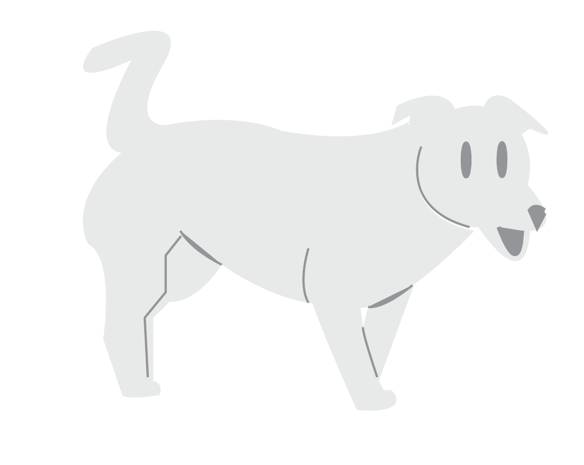 a dog walking down the road