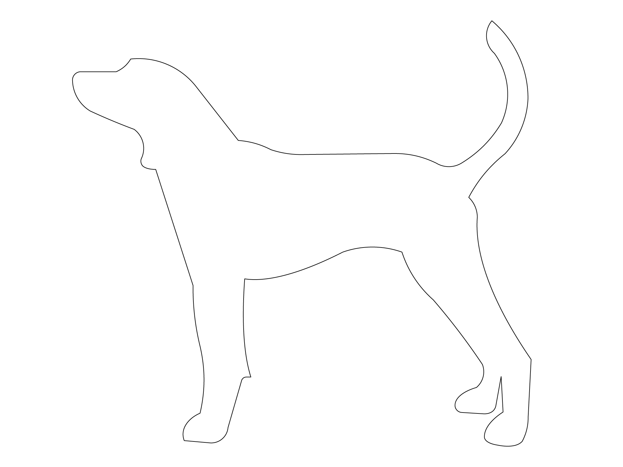 Smokey dog standing with tail up