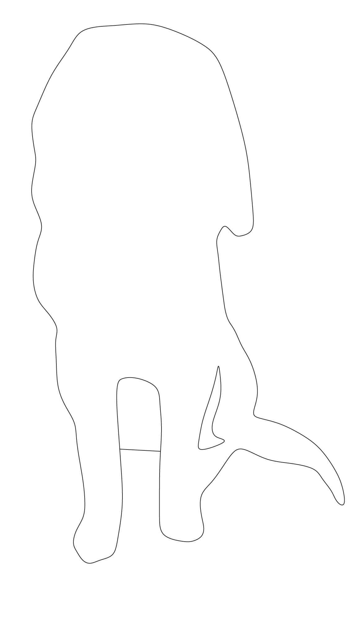 Dog sitting on top of desk