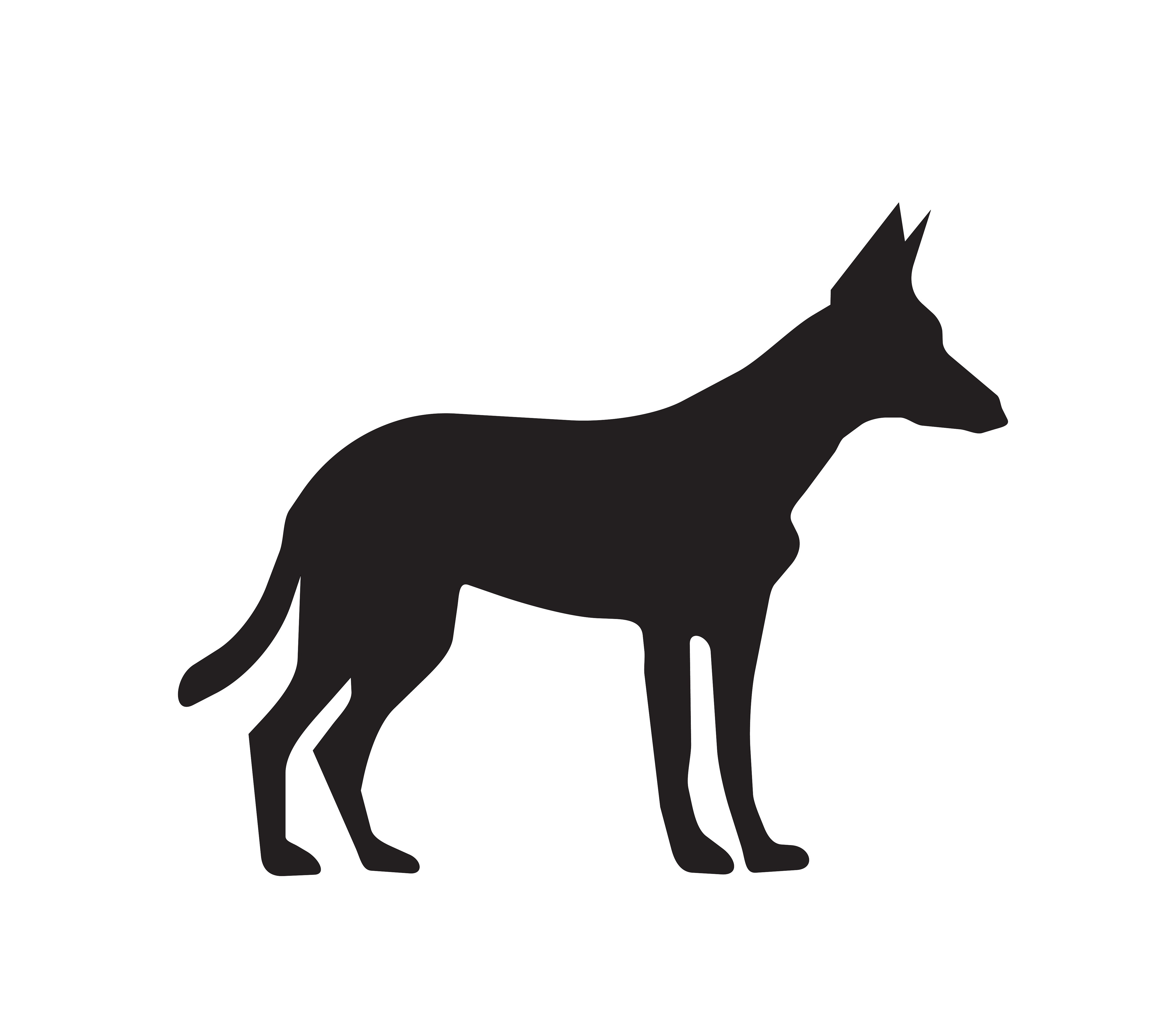 Side facing German Shepard