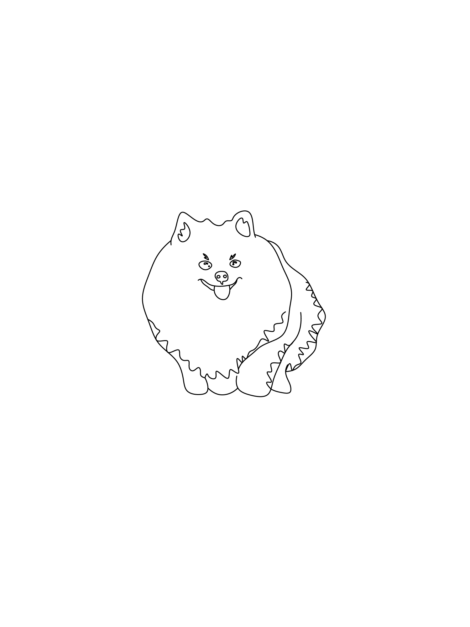 Pomeranian dog standing