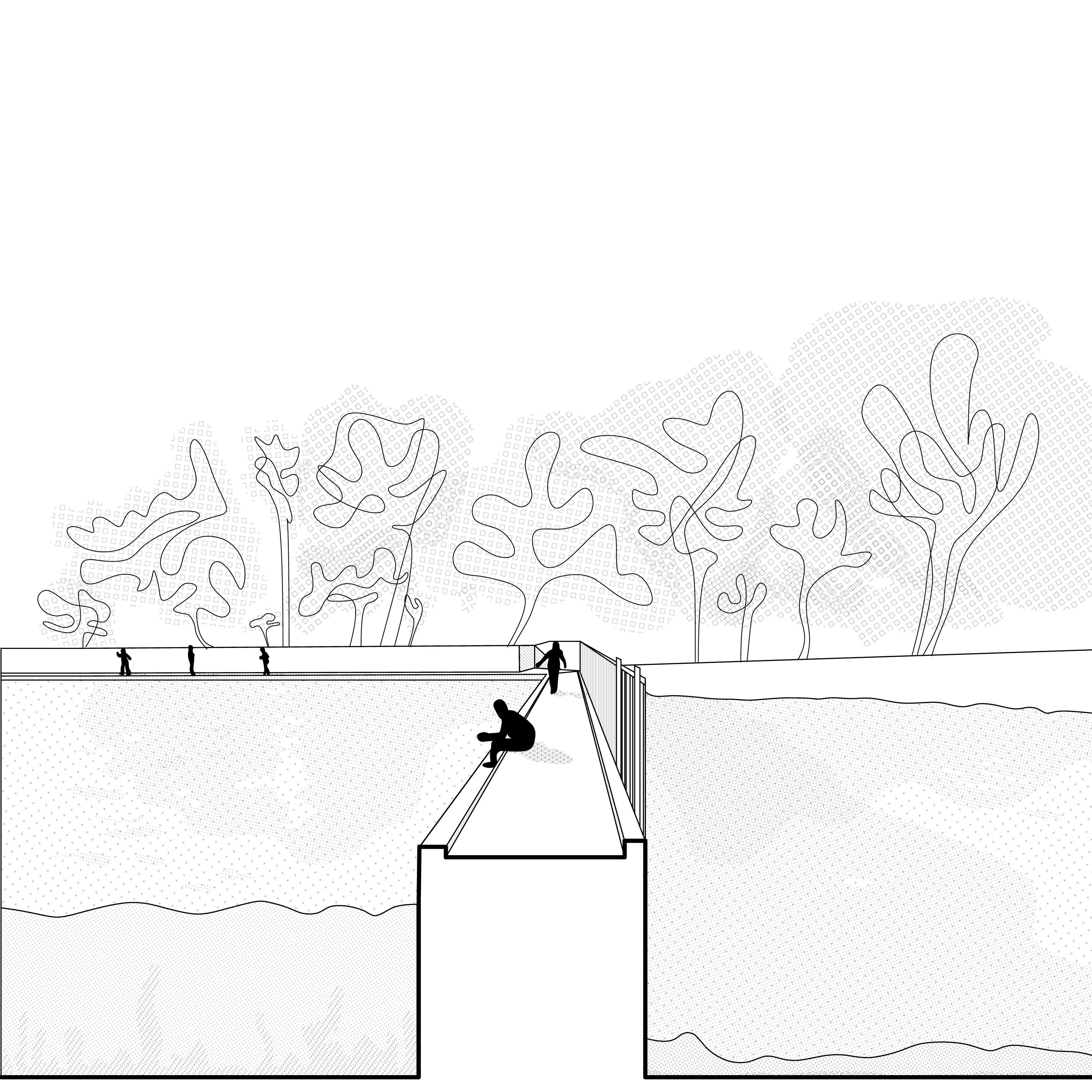 Barton Springs Divider