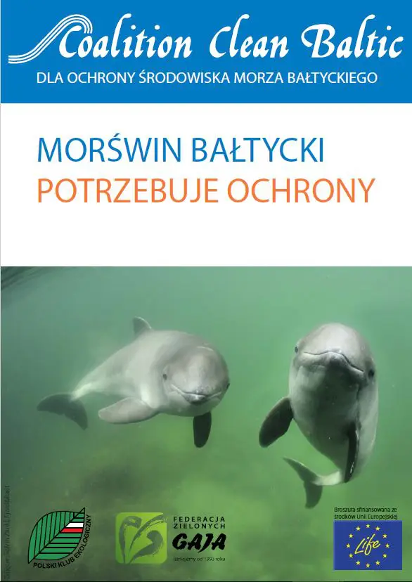 Baltic Harbour Porpoise