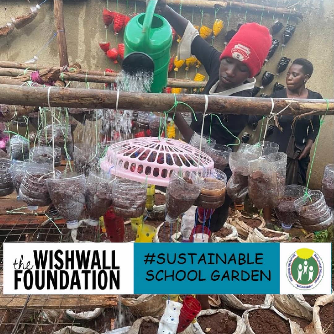 Sustainable school garden