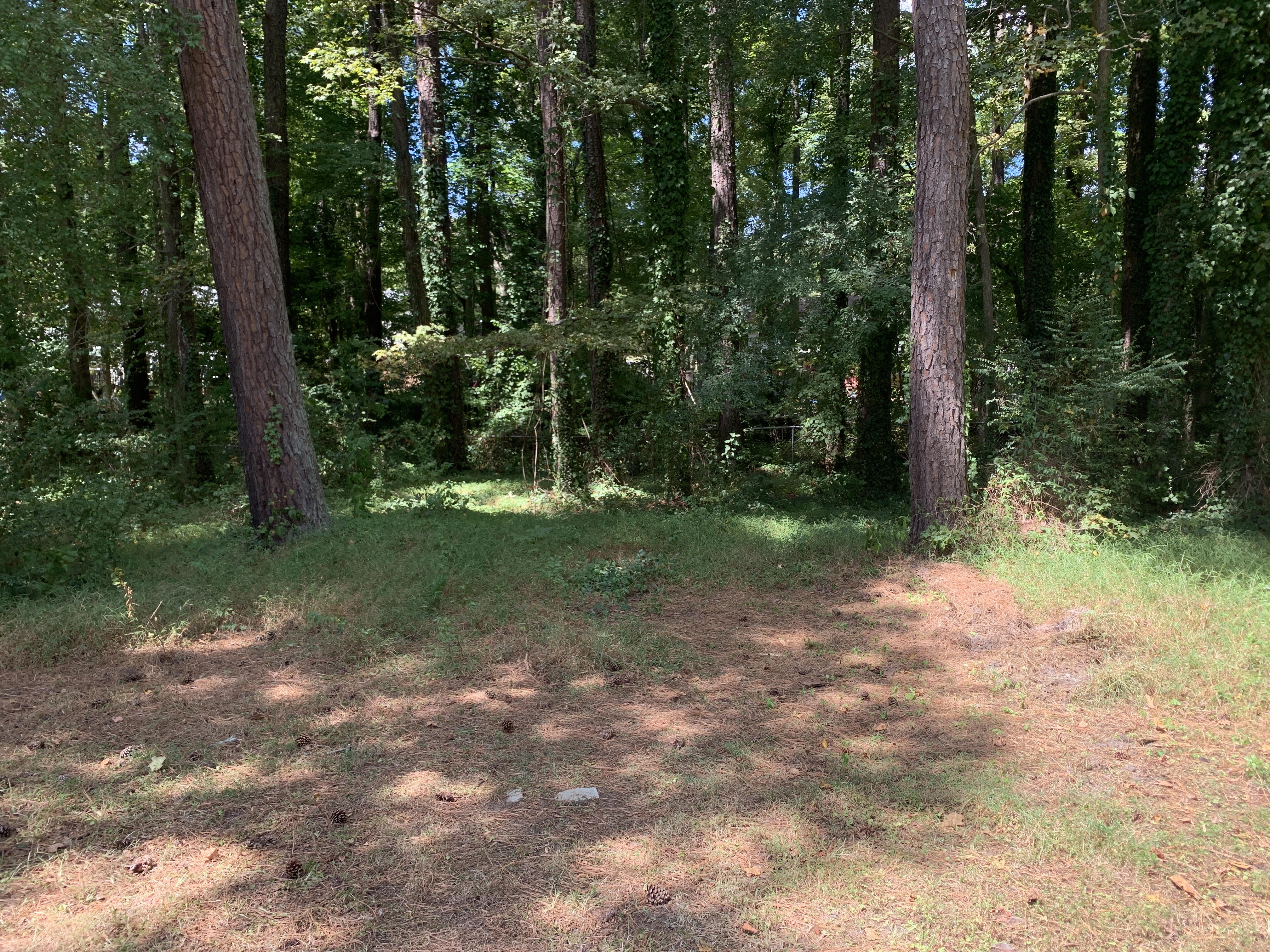 Swingset Removal in Garner, NC