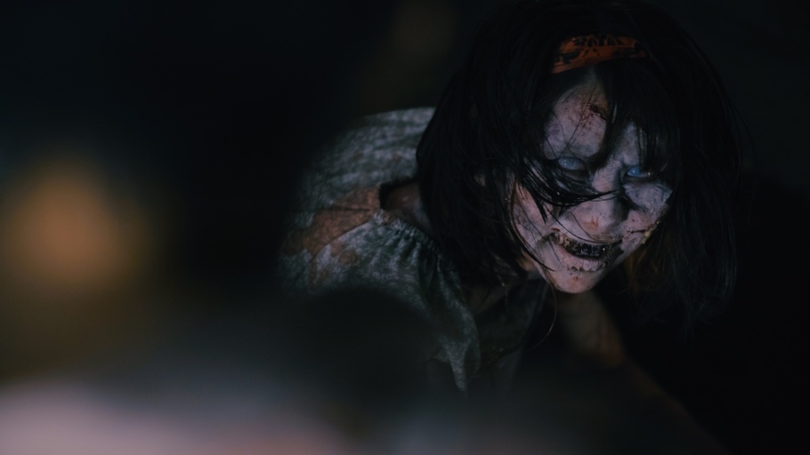 ”Vanldalism.Co.Ltd,”
