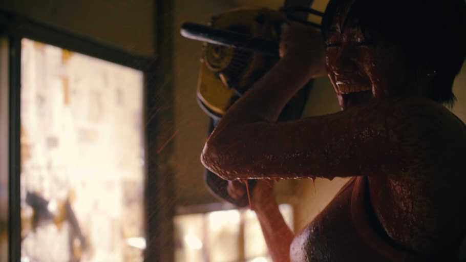 ”Vanldalism.Co.Ltd,”
